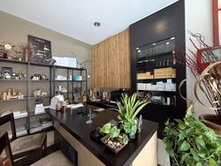 Serangoon Central (D19), Shop House #625876331
